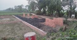 Plot 01 (Jashore)