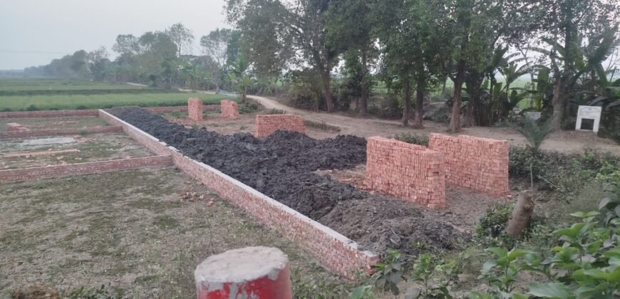 Plot 01 (Jashore)